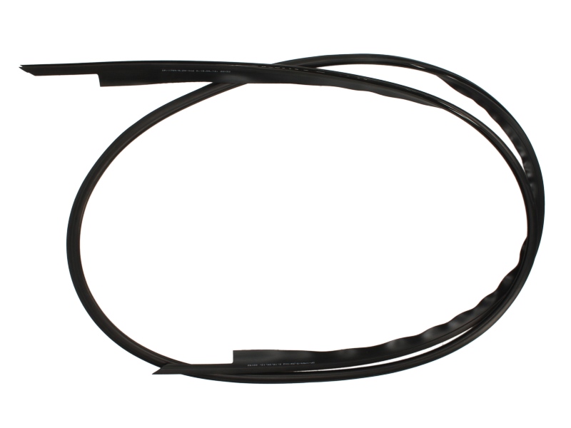 Elemente decorative/protectie parbriz fata