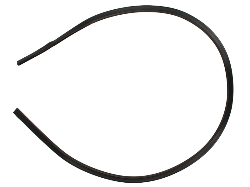 Elemente decorative/protectie parbriz fata deasupra