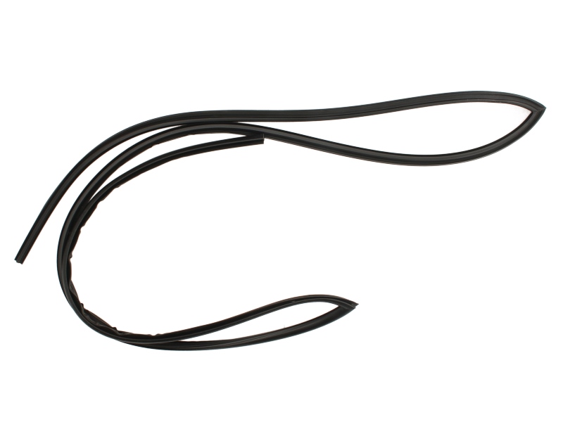 Elemente decorative/protectie parbriz fata