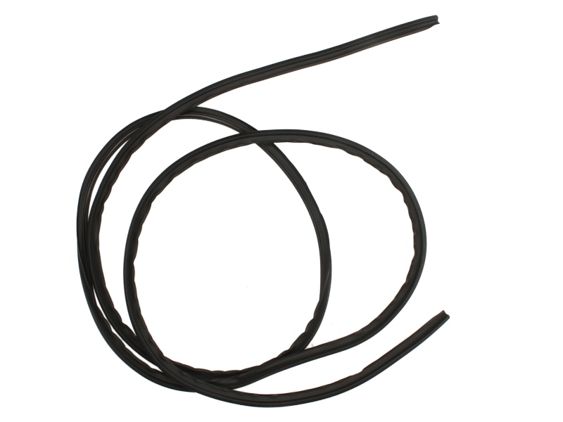 Elemente decorative/protectie parbriz fata
