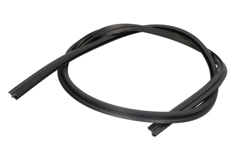 Elemente decorative/protectie parbriz fata deasupra