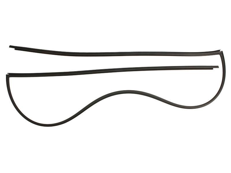 Elemente decorative/protectie parbriz fata