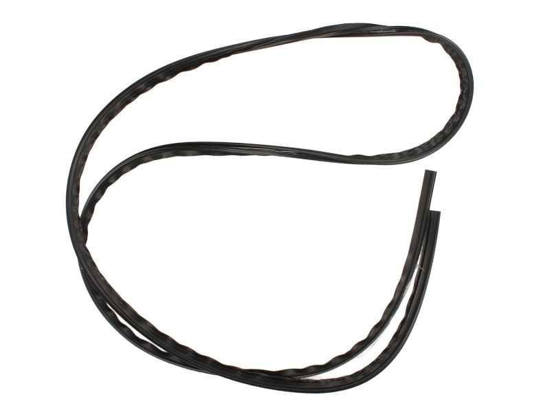 Elemente decorative/protectie parbriz fata