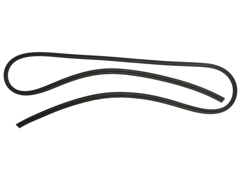 Elemente Decorative/Protectie Parbriz