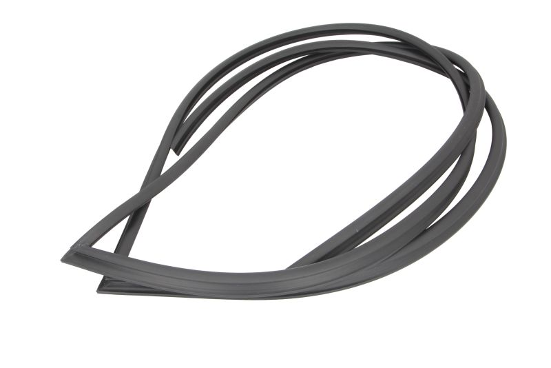 Elemente decorative/protectie parbriz fata