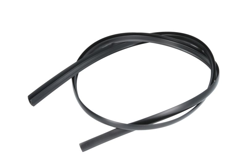 Elemente decorative/protecție parbriz față deasupra