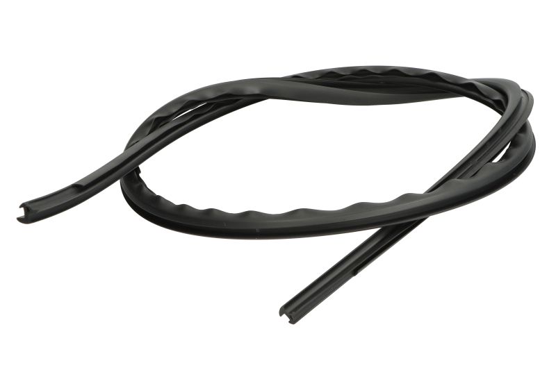Elemente decorative/protectie parbriz fata deasupra