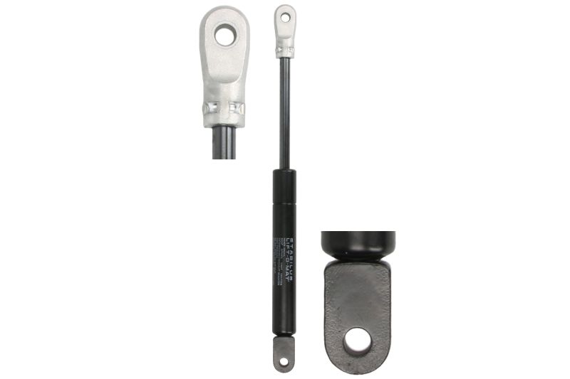 Amortizor haion 256 mm 250 N