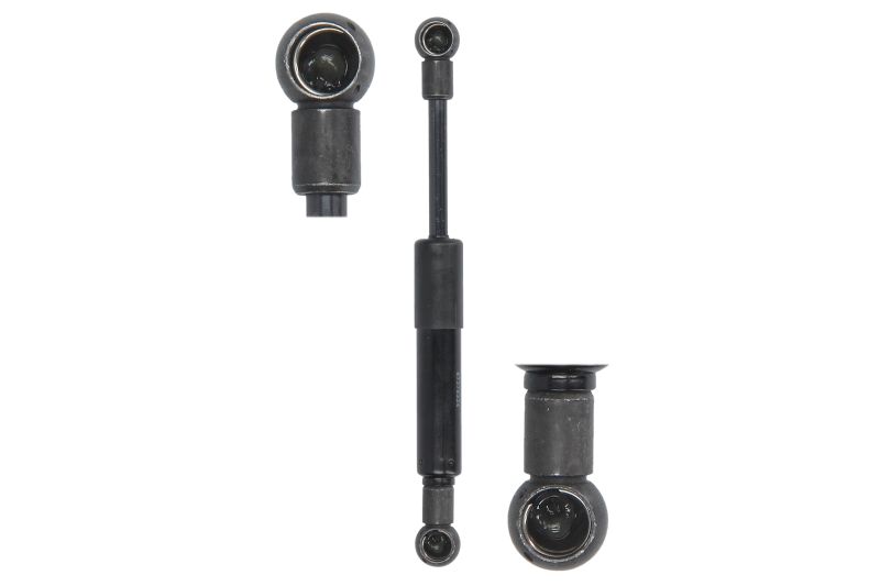 Amortizor haion 213 mm 310.0 N negru 2 bucati