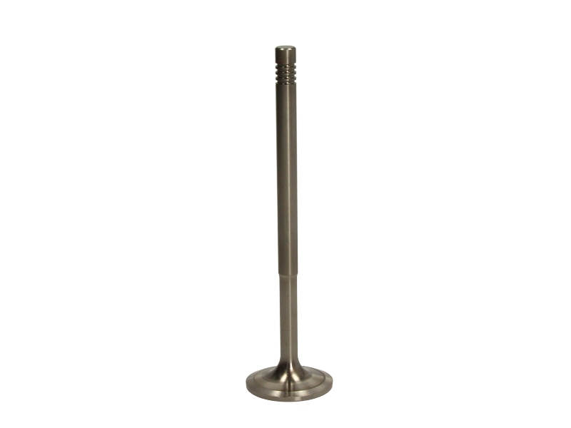 Supapa admisie 171,3 mm 44 mm
