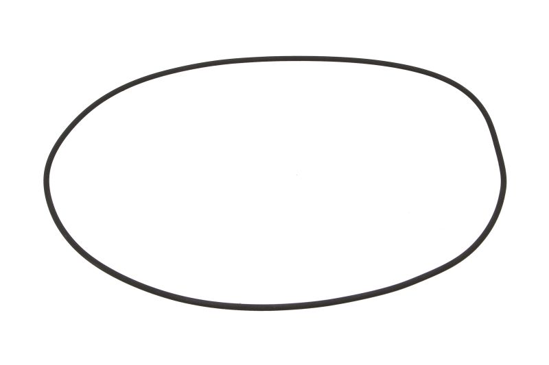 O-ring