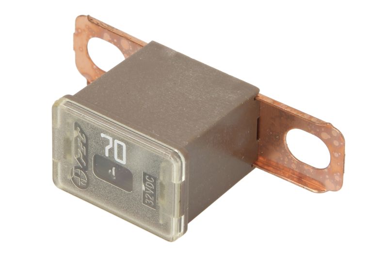 Siguranta PAL 46x13x22 mm