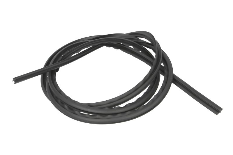 Elemente decorative/protectie parbriz fata