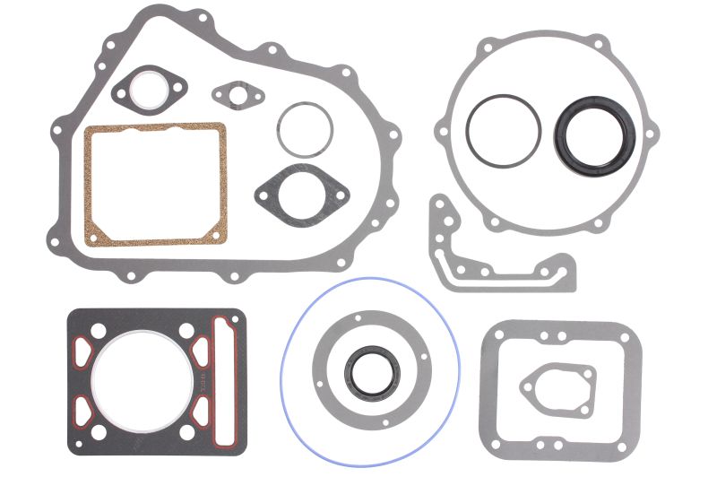Set garnituri complet, motor