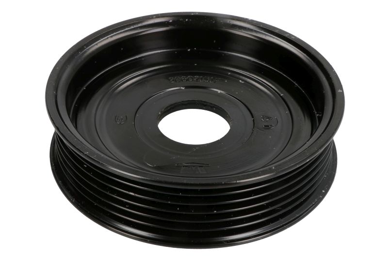 Fulie pompa servo