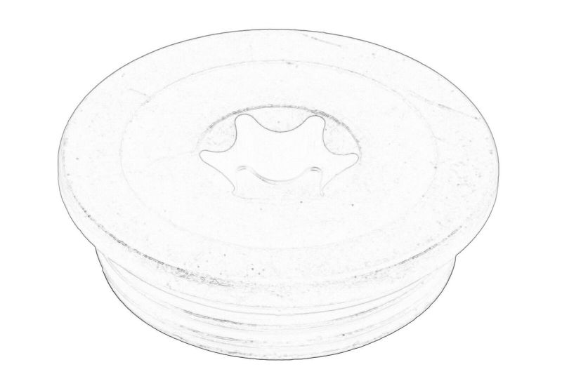 Capac Conector Bolt Principal