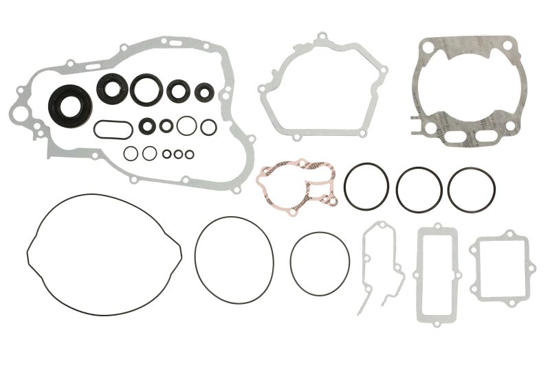 Set Garnituri Complet Motor