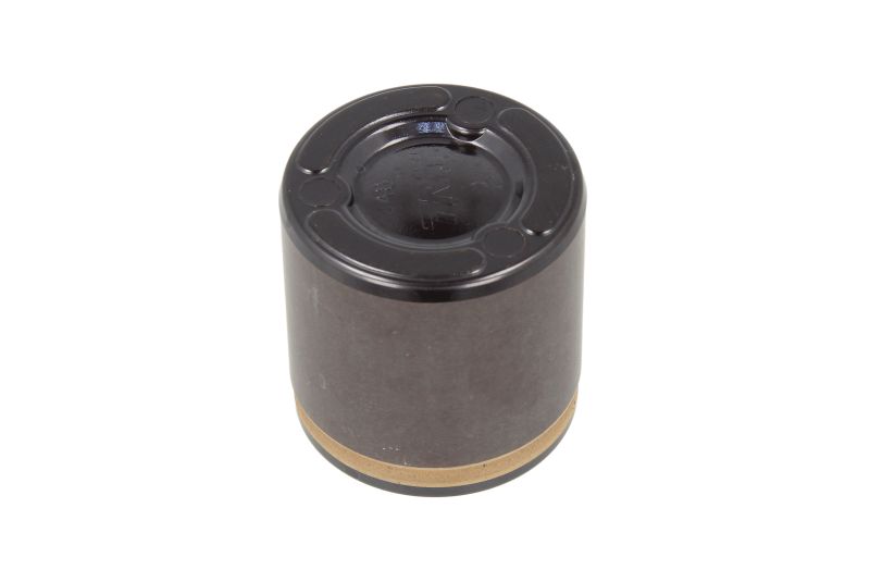 Piston etrier frână spate 48x49 mm