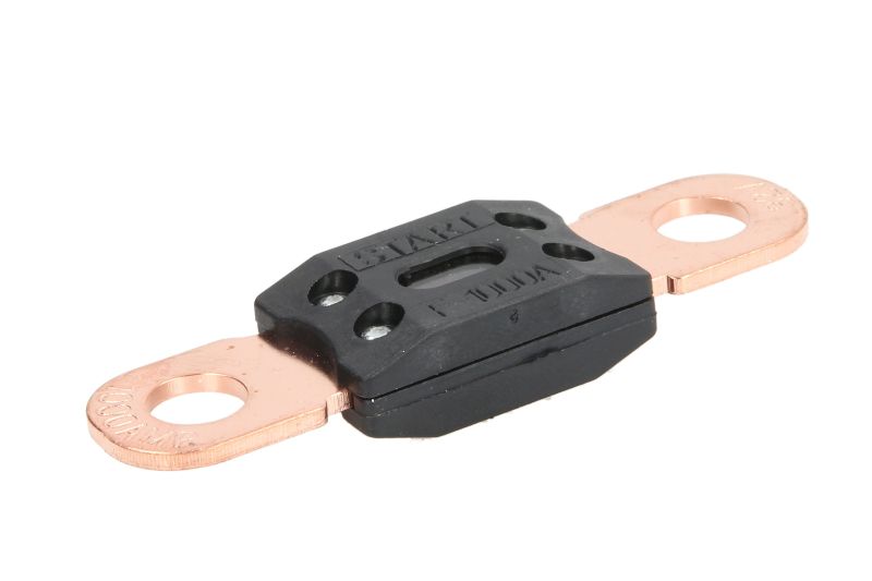 Fuse, battery maintenance devices