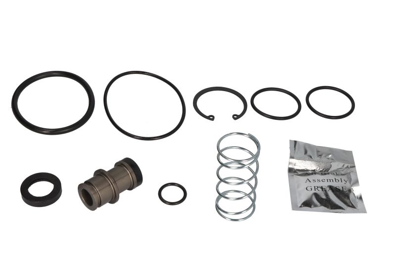 Set reparatie supapa perna aer