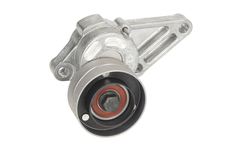 Intinzator curea distributie
