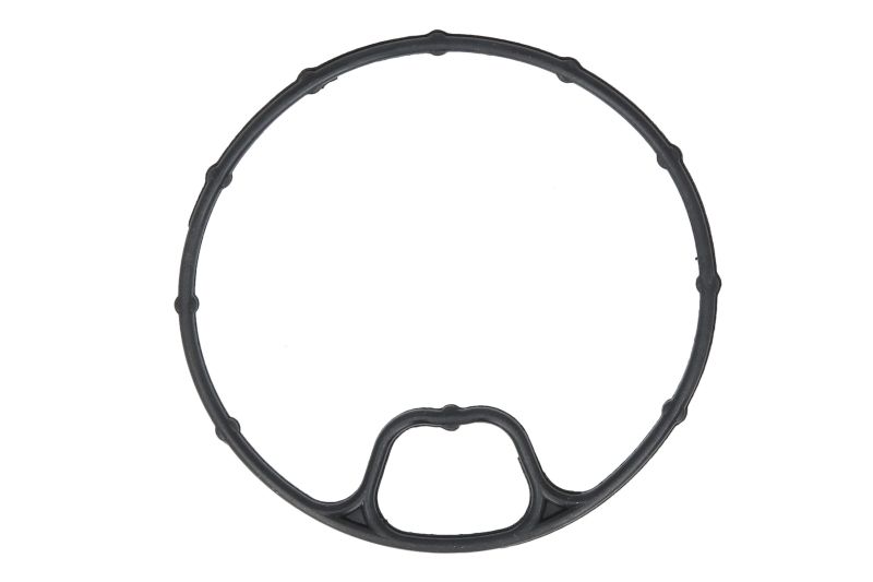 Garnituri carcasa filtru ulei