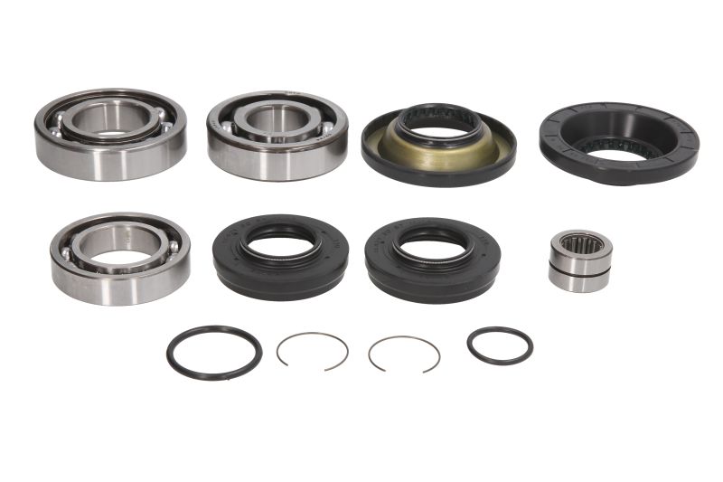 Set reparatie diferential spate