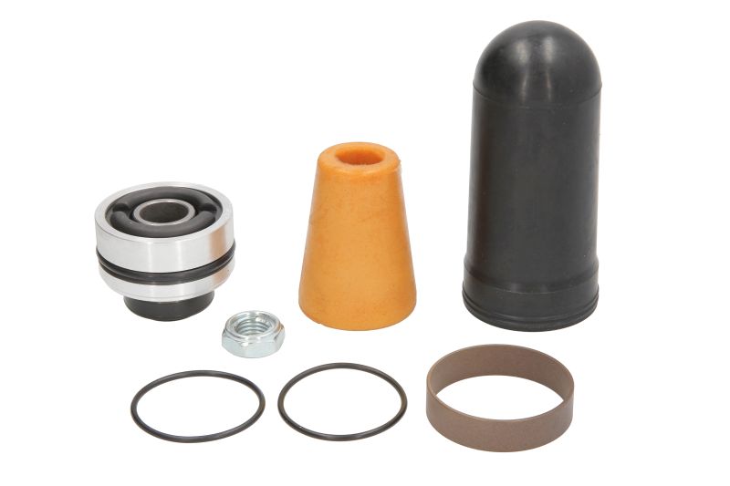 Set reparatie amortizor spate