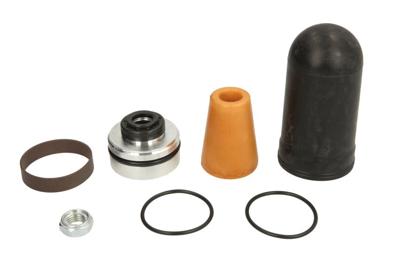 Set reparatie amortizor spate