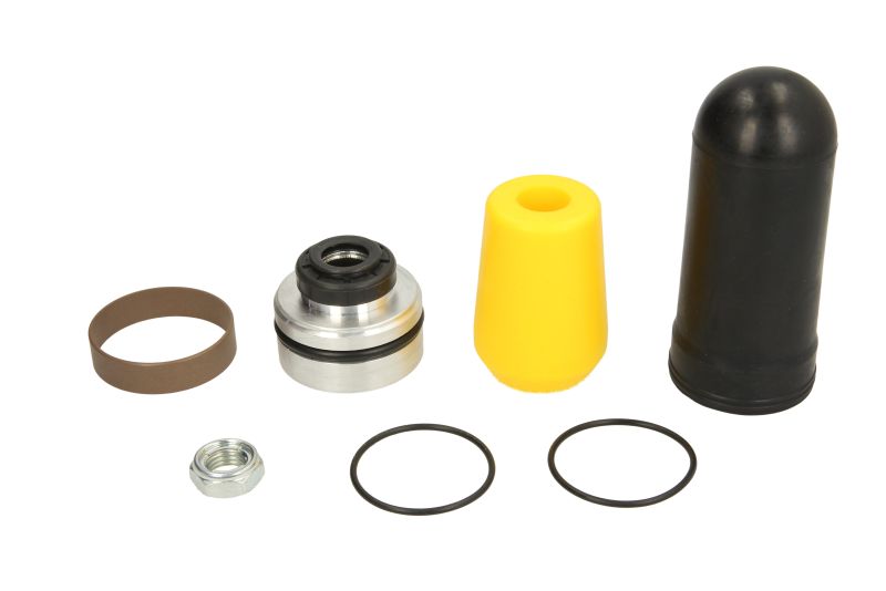 Set reparatie amortizor spate