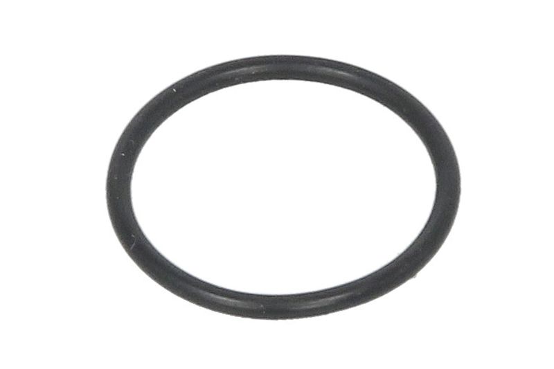 Simering suport diuza 21.3x24.86x1.78 mm BNR