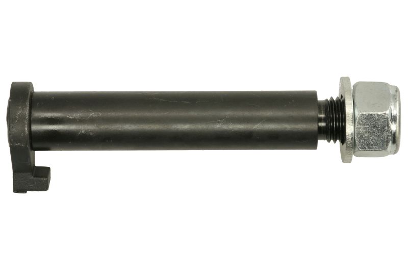 Bolturi