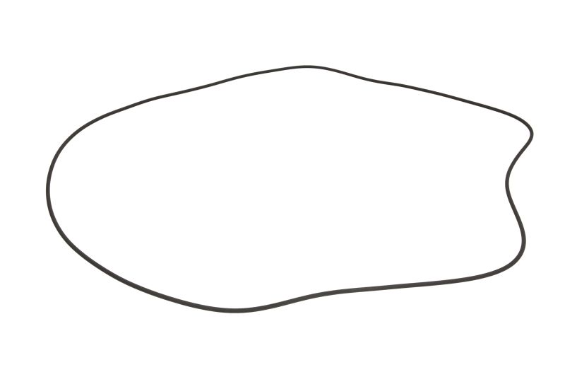 O-ring