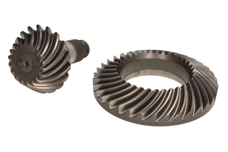 Taler - con pinion set