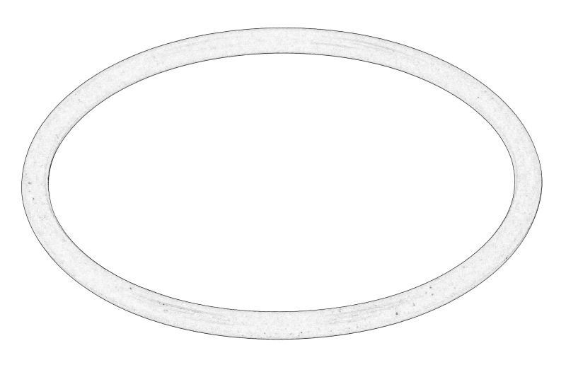O-Ring