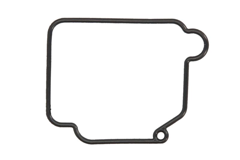 Etansare externa pentru carburator 1 buc