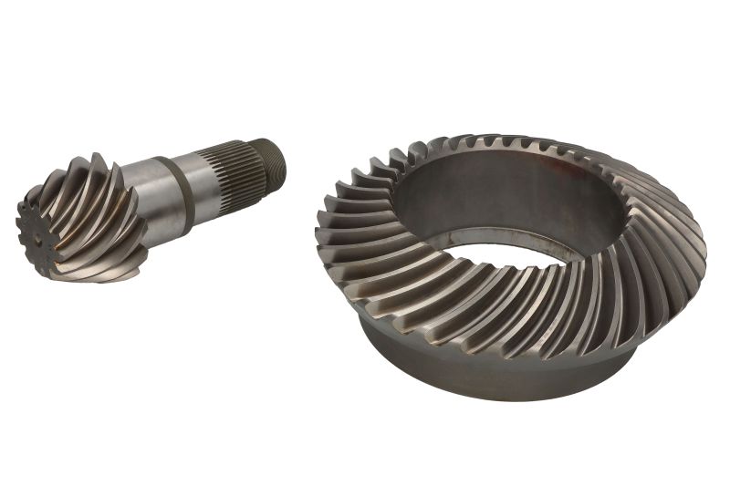 Taler -/ con pinion set