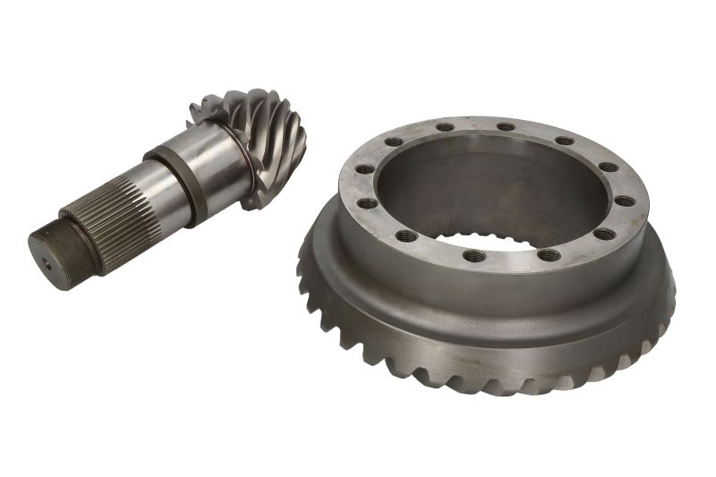 Taler -/ con pinion set