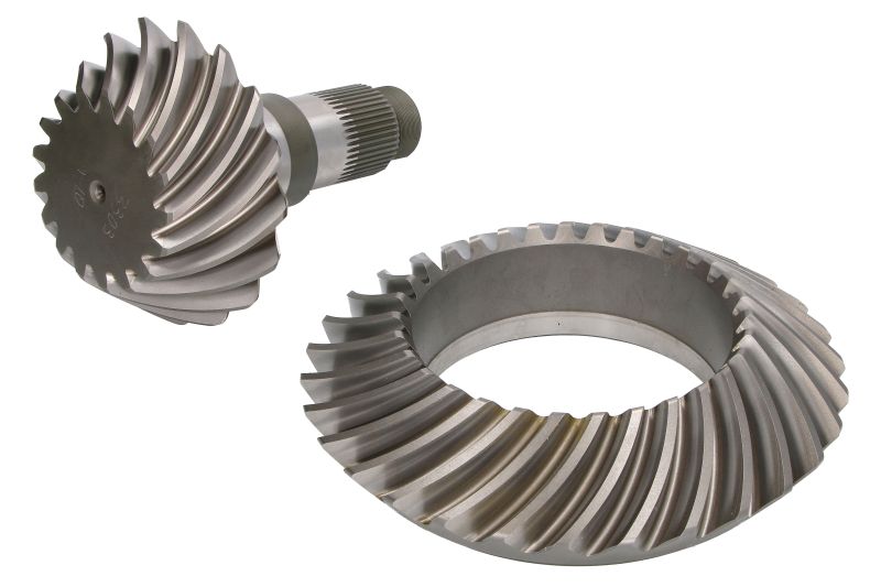 Taler con pinion set 31 dinti