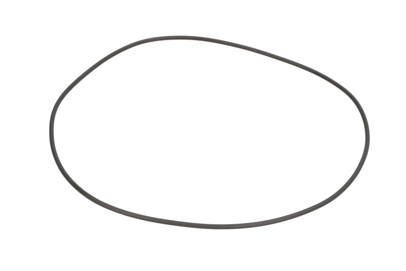 O-ring