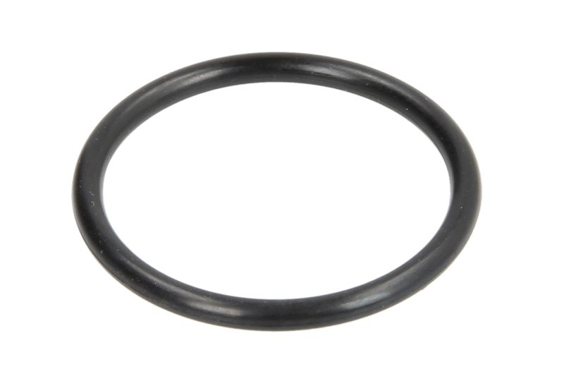 O-ring 4WG210