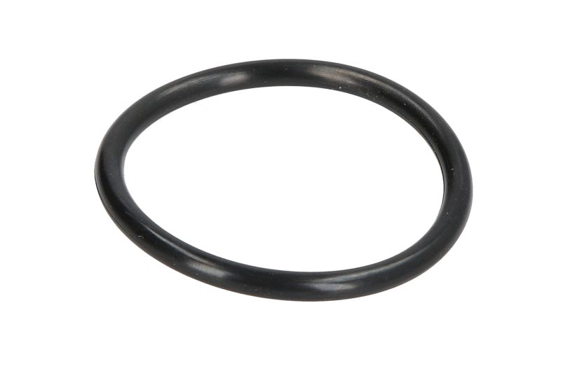 O-ring 4WG210