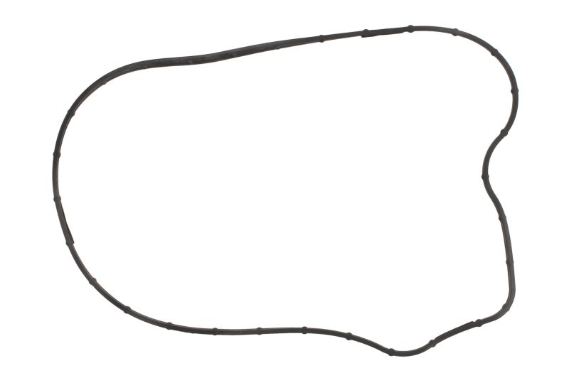 Garnitura pompa de apa