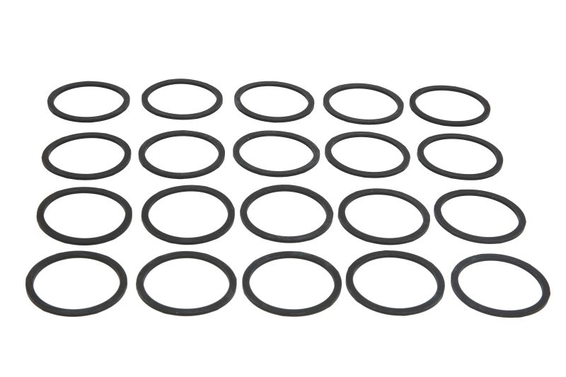 O-ring