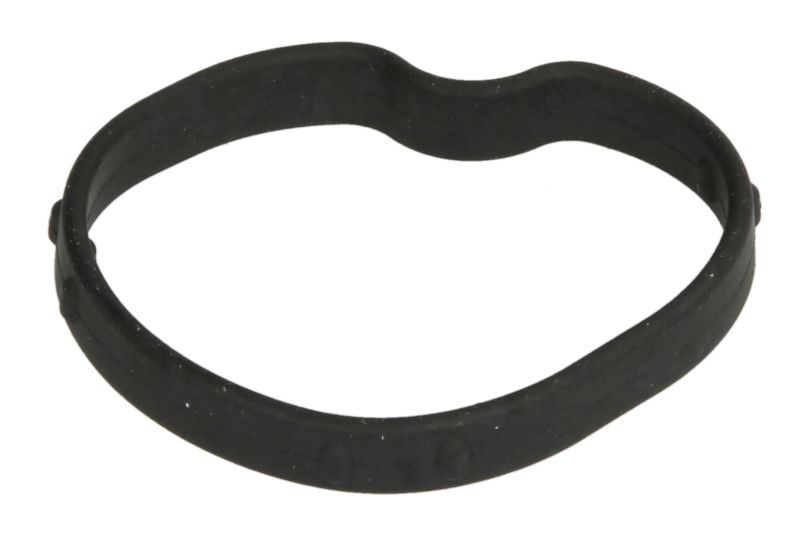 Garnitura carcasa termostat
