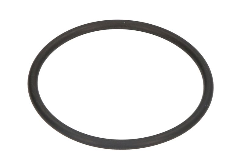 Garnitura termostat