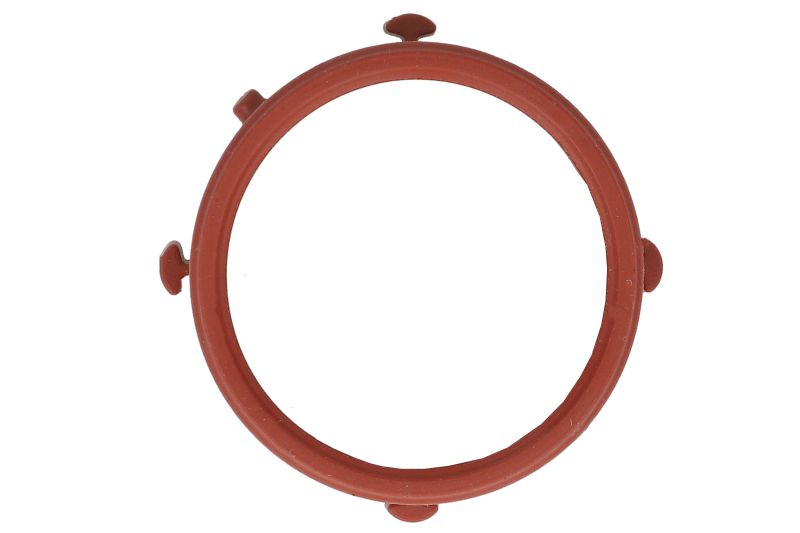 Etansare intrare turbina (compresor)