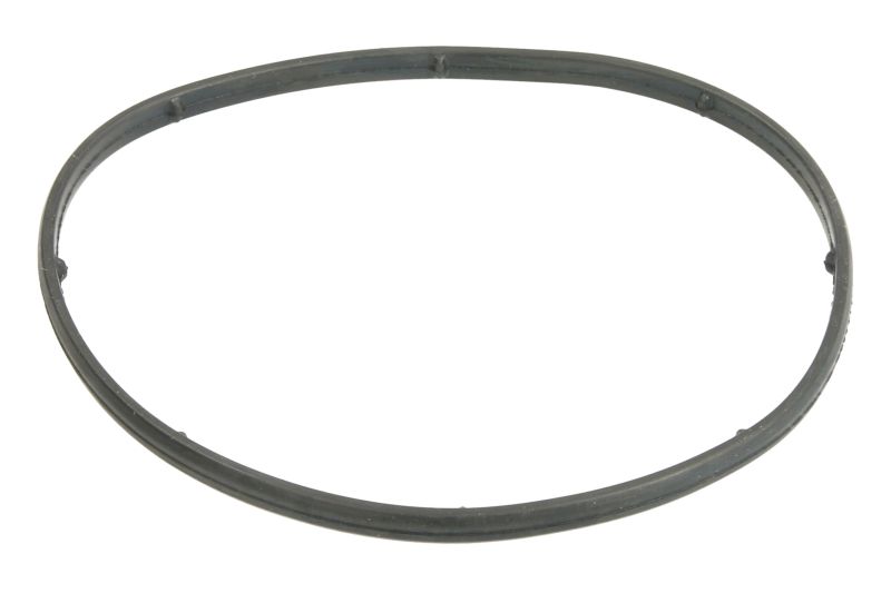 Garnitura termostat