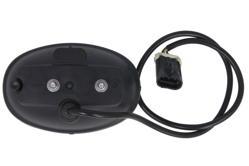 Semnalizator