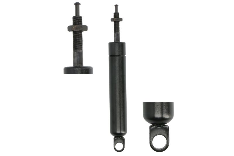 Amortizor capota 250 mm 420 N set 2 bucati